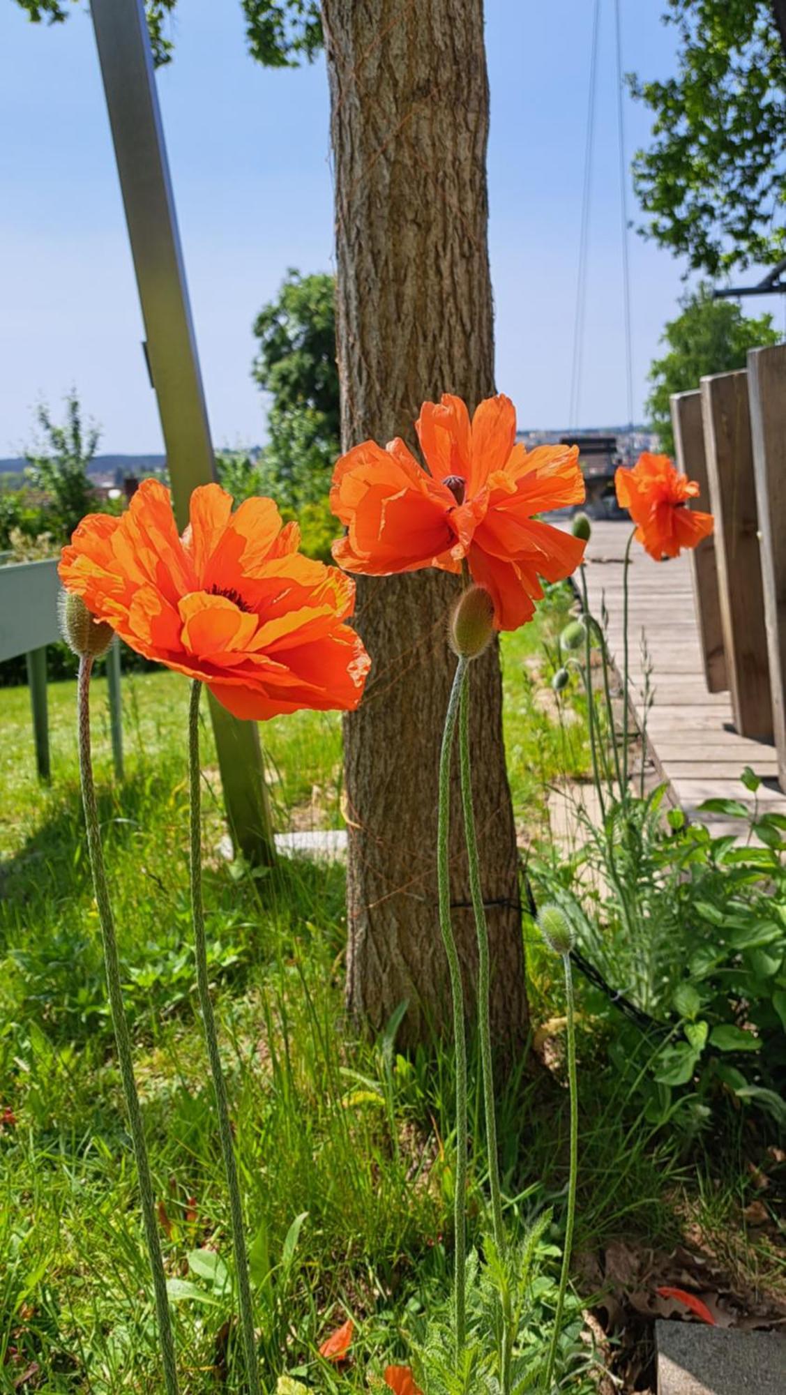 Apartament Aloha Annaberg Sulzbach-Rosenberg Zewnętrze zdjęcie